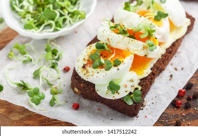 Delicious gourmet Breakfast. Rye bread sandwich with boiled egg, cheese, freshly ground pepper and microgreens (daikon or radish sprouts). Selective focus