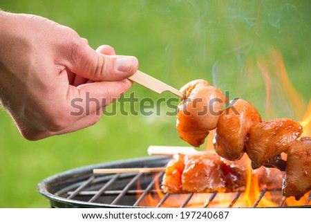 Delicious grilled chicken skewers on fire