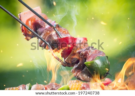 Delicious grilled meat skewers on fire