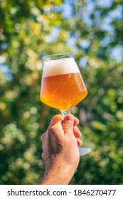 Delicious Homebrewed Beer, Diffferent Styles And Rich Taste