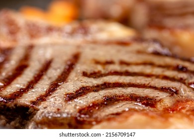 Delicious Juicy Meat Steak Cooking On Grill. Prime Beef Fry On Electric Roaster, Rosemary, Black Pepper, Salt. Slow Motion.