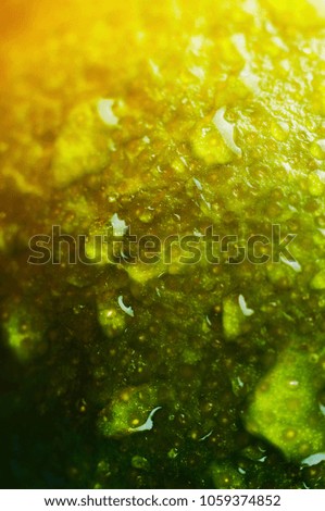 Delicious lime close up as a texture with drops of water. Shallow deph of field