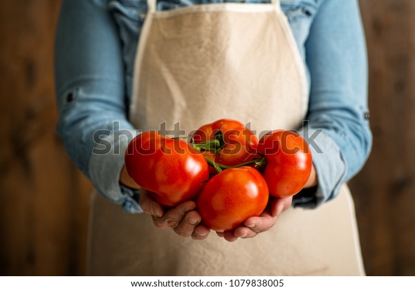 Delicious Organic Farm Fresh Tomatoes Held Stock Photo Edit Now