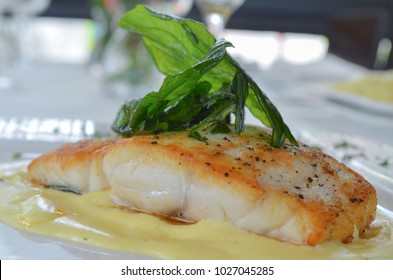 151 Pargo fish Images, Stock Photos & Vectors | Shutterstock