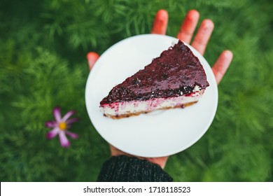 Delicious Party Cherry Cake Slice On The Plate In Male's Hand. First Person Point Of View POV Over Defocused Garden Background