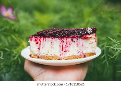 Delicious Party Cherry Cake Slice On The Plate In Male's Hand. First Person Point Of View POV Over Defocused Garden Background