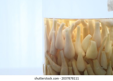 Delicious Pickled Scallions In A Jar