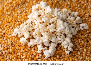 Delicious popcorn and unpopped corn