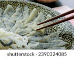 Delicious pufferfish sashimi on a plate