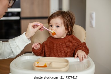 Delicious pumpkin and apple puree for babies. Toddler girl in brown sweater. Babysitter feeds small newborn baby in kitchen. - Shutterstock ID 2149377417