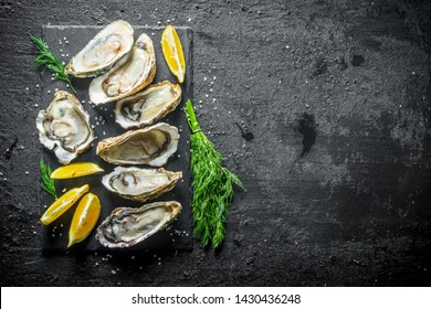 Delicious raw oysters with dill and lemon. On black rustic background