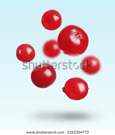Delicious ripe cranberries falling on pale light blue background