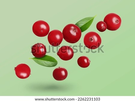 Delicious ripe cranberries and fresh leaves flying on pale light green background