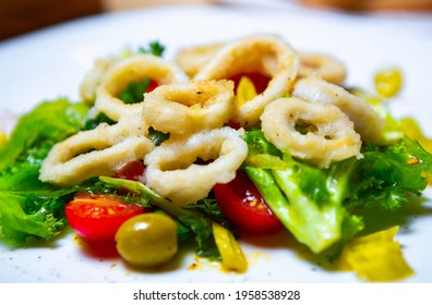 Delicious Sea Food.Squid Salad With Octopus Rings,fresh Green Leaves, Olives And Tomatoes Served On White Plate In Asia Seafood Restaurant.Download Royalty Free Curated Images Collection With Foods 