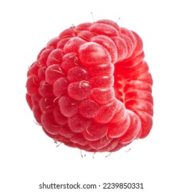  Delicious single raspberry over isolated white background