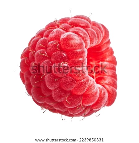  Delicious single raspberry over isolated white background