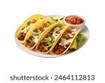 Delicious tacos filled with meat served on a plate isolated