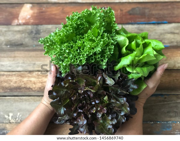 Delicious Vegetable Saladdecoration Arrange Bouquet Vegetables