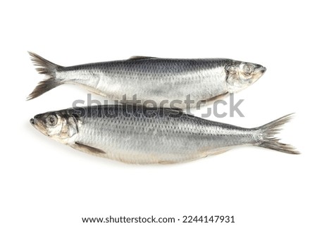 Delicious whole salted herrings isolated on white, top view