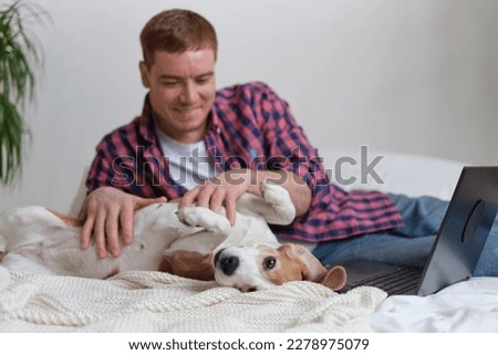 Delighted dog and owner sharing a tender moment, as man pauses from working on his laptop to give affection. Man taking a break from work on laptop
