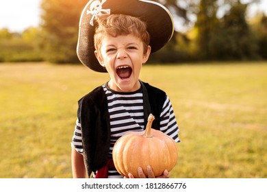 Delighted little boy in pirate costume holding small pumpkin and smiling while celebrating Halloween on sunny day in park - Powered by Shutterstock