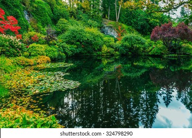 Delightful landscaped and floral park Butchart Gardens on Vancouver Island. In a small pond, overgrown with lilies, reflected sky