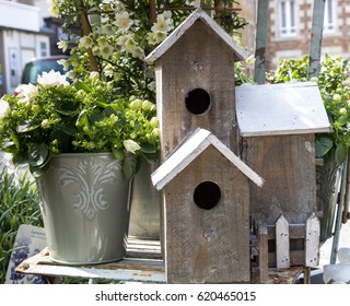 Delightful White Flowers In Ceramic Pots And Decorative Nesting Box  For Summer Garden Decor.