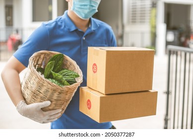 Deliver Man Wearing Medical Gloves And Face Mask In Blue Uniform Handling A Little Plant  And Parcel Box Give To Female Costumer Postman And Express Grocery Delivery Service During Covid19.