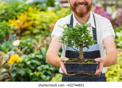 Delivering nature to your homes. Cropped shot of a male bearded florist smiling happily holding out a bonsai tree in a pot posing in his garden center - Powered by Shutterstock