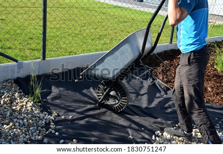 delivery of gray river pebbles like mulch to flower beds in the garden using a wheelbarow from the body of a truck or trailer. shovel and rake the layer over the black nonwoven fabric.
