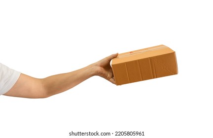 Delivery Man Hand Holding Parcel Cardboard Box Isolated On White Background. Online Shopping And Delivery Transport 