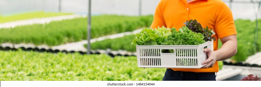 Delivery man taking food basket from the greenhouse farm delivering to customer - grocery shopping service concept - Powered by Shutterstock