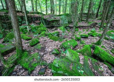 Dells of the Eau Claire River county park in Aniwa, Wisconsin in early summer, horizontal