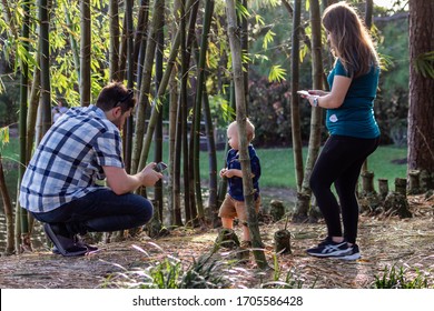 Delray Beach, Florida / USA - 1/12/2020: Young Mother And Father With Towhead Blonde Toddler Baby Boy Looking At Their Smart Phones Texting Friends Not Paying Attention Or Taking Pictures Of The Kid.