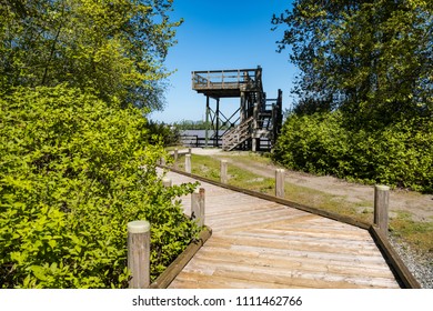 Delta, BC/Canada - 05 05 2018: Wooden Watch Tower At The End Of Path Inside Deas Island Park.