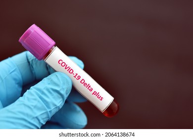 Delta Plus COVID-19 Positive, Blood Sample Positive With Delta Plus Variant Of COVID-19 Coronavirus