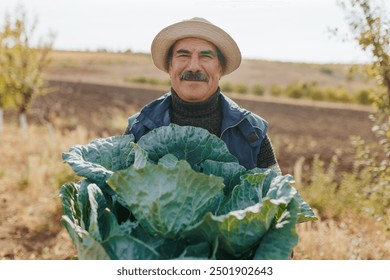 Delve into the world of cultivated harvests as an aged Hispanic farmer tends to nutrient rich cabbage in a sprawling farmland. This image encapsulates the essence of sustainable agriculture, - Powered by Shutterstock