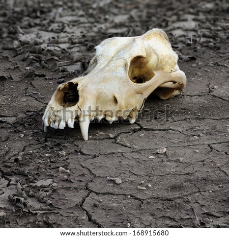 demise of ecological system
