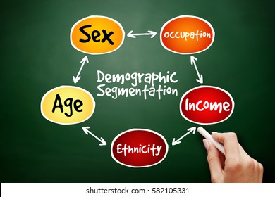 Demographic Segmentation Mind Map Flowchart Social Stock Photo ...