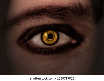 Demonic eye in the dark