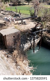 Demonstration Of The Persian Water Wheel (Sakia) In Rajasthan, India.