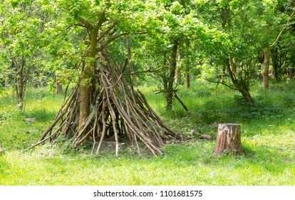 Den Building In Deciduous Woodland