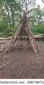 Den Building In The Forest