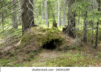 A Bear´s Den Deep In The Forest But No One Home