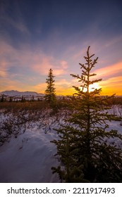 Denali National Park And Preserve 