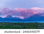 Denali National Park and Preserve,Alaska, United States, North America, bears, eagles, moose
