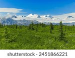 Denali National Park and Preserve,Alaska, United States, North America
