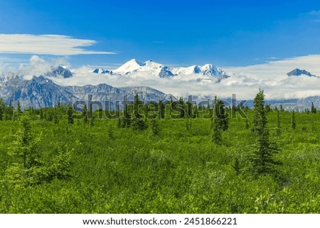 Similar – Image, Stock Photo Alaska | Denali National Park | River course in majestic expanse and first snow on the mountains