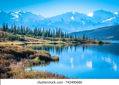 Denali National Park and Wonder lake with Mountain Background