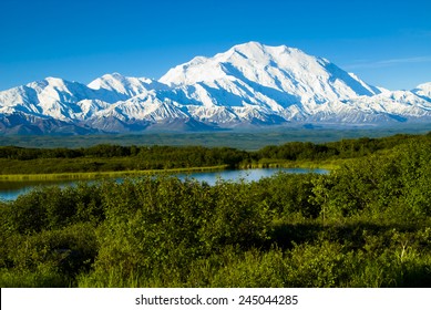Denali from near Wonder lake - Powered by Shutterstock